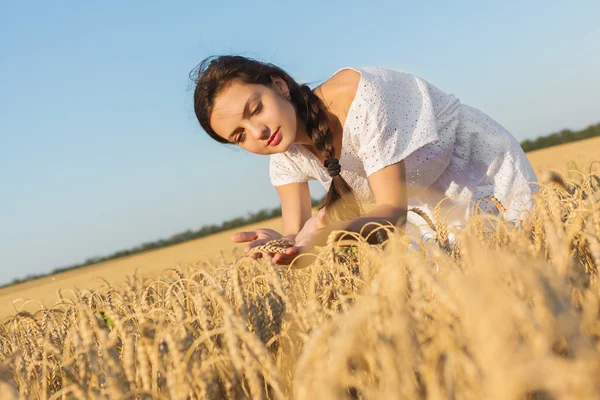 Meisje in tarweveld — Stockfoto