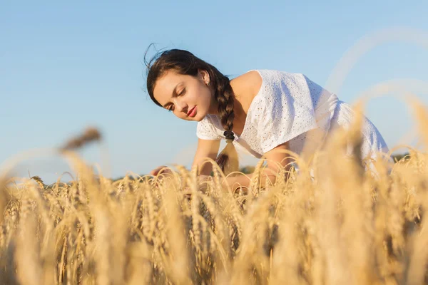 Дівчина в пшеничному полі — стокове фото