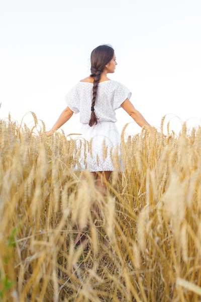 밀 밭의 소녀 — 스톡 사진
