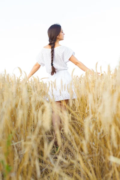 밀 밭의 소녀 — 스톡 사진