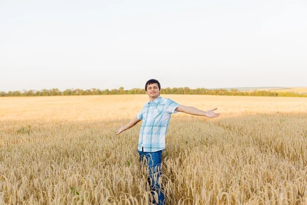 Homem no campo de trigo — Fotografia de Stock