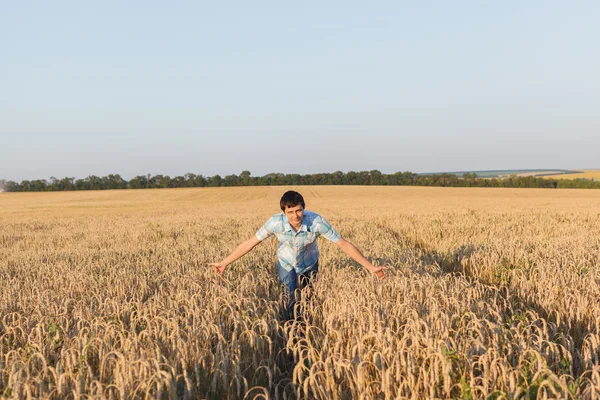 Homem no campo de trigo — Fotografia de Stock