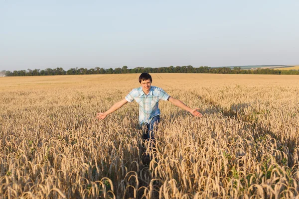 Людина на пшеничному полі — стокове фото