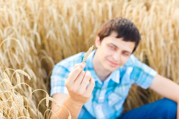 Man on wheat field — Stock Photo, Image