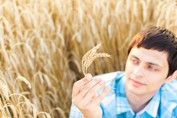 Man on wheat field — Stock Photo, Image