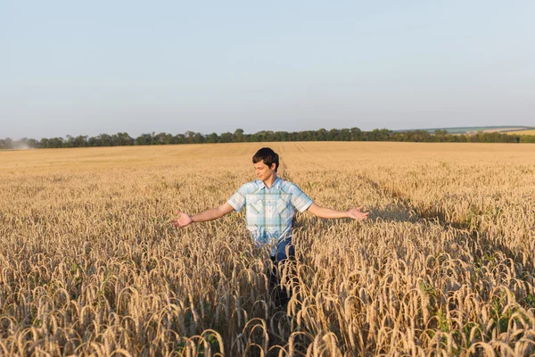 Homem no campo de trigo — Fotografia de Stock