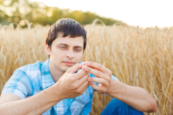 Man on wheat field — Stock Photo, Image