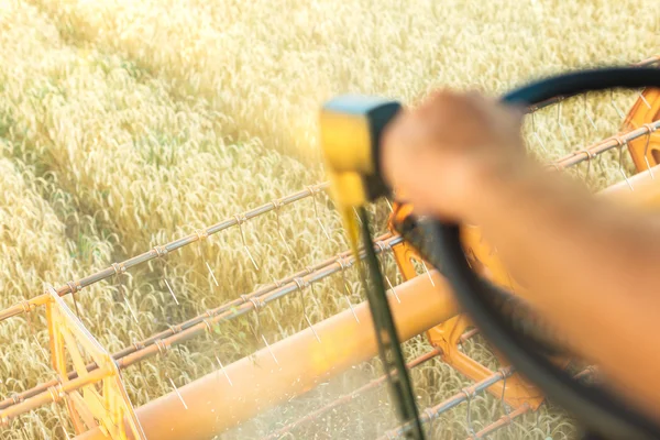 Combine harvesting field — Stock Photo, Image