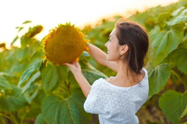 Woman in sunflower field — Stock Photo, Image