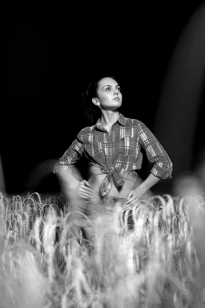 Ragazza nel campo di grano — Foto Stock