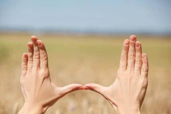 Woman hand touching wheat — Stock Photo, Image