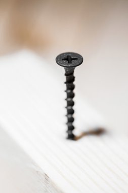  Yönetim Kurulu vida 