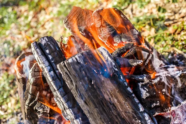 Lägereld på naturen — Stockfoto