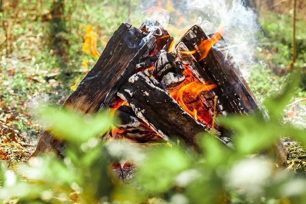 Api unggun di alam — Stok Foto