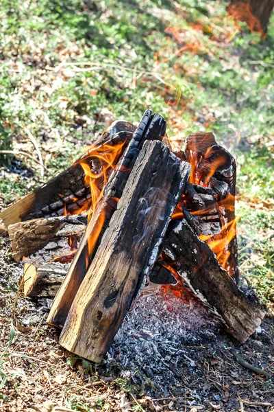 Fogata en la naturaleza — Foto de Stock