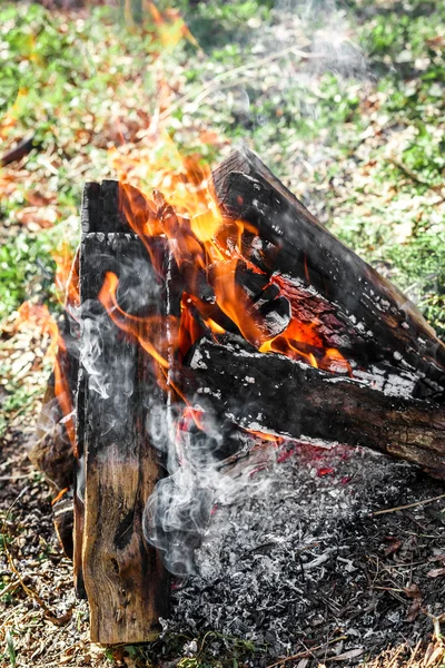 Fogata en la naturaleza — Foto de Stock