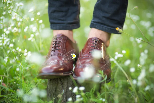 Le scarpe da sposa — Foto Stock