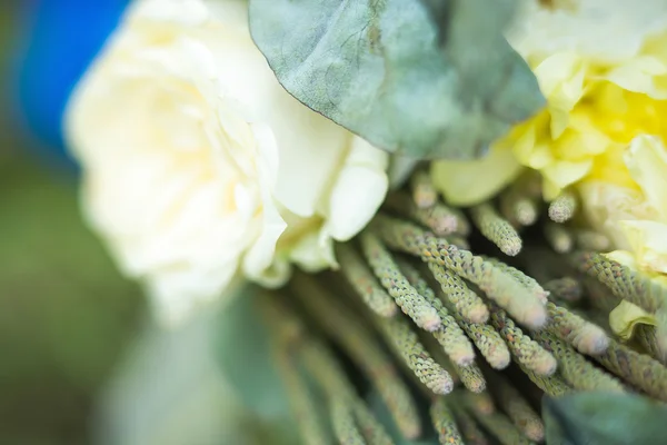 Bouquet d'eucalyptus et de roses — Photo