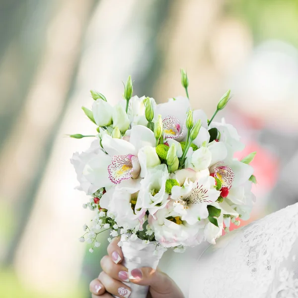 Bouquet da sposa Holds — Foto Stock