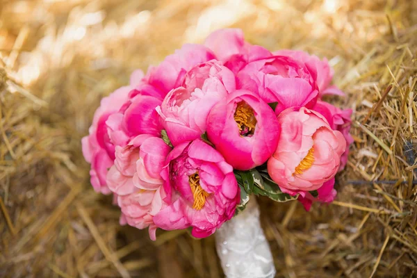 Bouquet of peonies — Stock Photo, Image