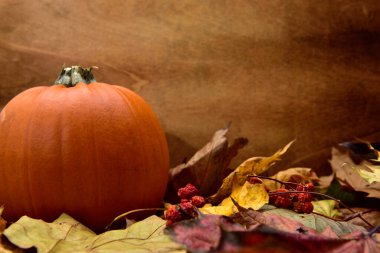 Ahşap zeminli turuncu organik balkabağı.