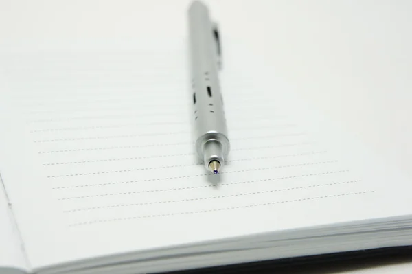 Sayfa üzerinde yalan metal kalem