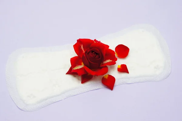 Menstruation woman. Laying with rose. — Stock Photo, Image