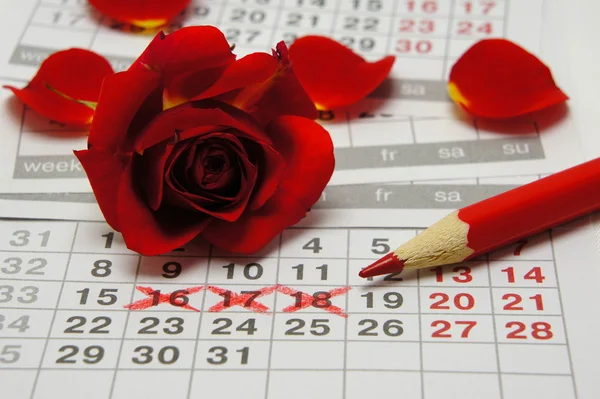 Menstruation woman. Rose and pencil on the calendar. — Stock Photo, Image