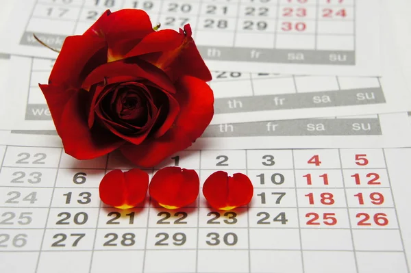 Hayız kadın. Rose ve takvim yaprakları.