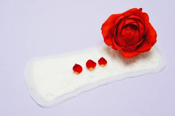 Menstruatie vrouw. Leggen met rose en bloemblaadjes. Stockfoto