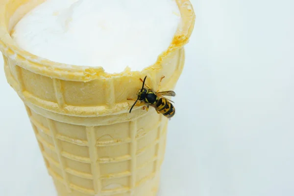 Dondurmalı waffle bardağa oturan WASP.