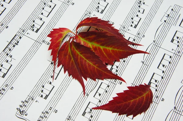 Outlet autumn leaves on the notes. — Stock Photo, Image