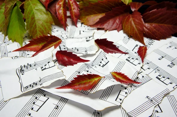 sonbaharın bir melodi. sonbahar yaprakları bir yırtık notları.