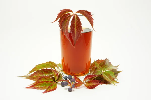 Drink of autumn in a glass with leaves and berries. — Stock Photo, Image