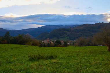 Kuzey İspanya 'nın her zaman yeşil çayırları olan tipik bir manzarası.