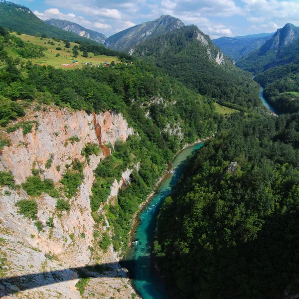 Montenegro. Desfiladeiro de Tara — Fotografia de Stock