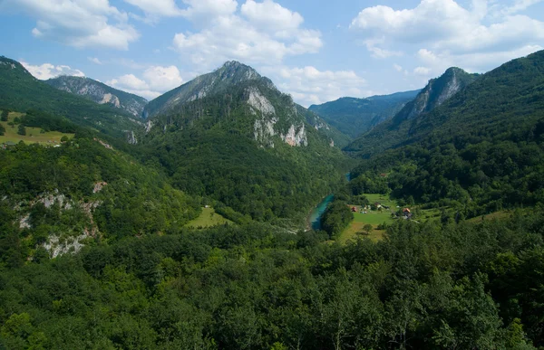 Montenegro. Tara Canyon — Stockfoto