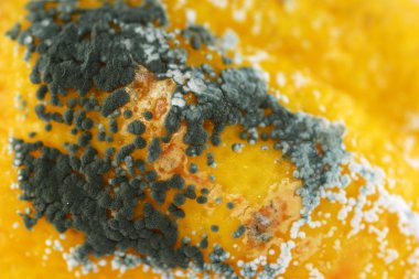 Masanın üzerinde kalıp içinde limon