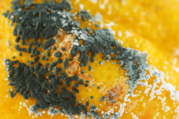 Masanın üzerinde kalıp içinde limon