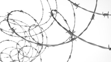 Champ de maïs à la récolte