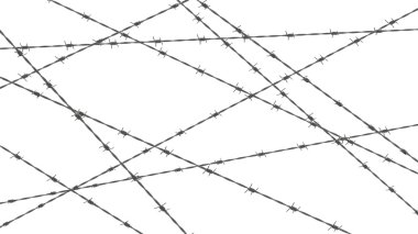 Champ de maïs à la récolte