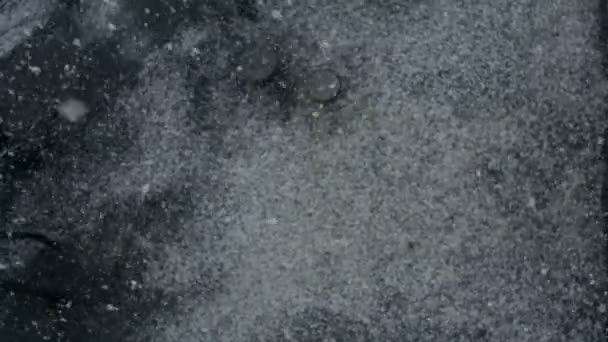 De vlokken sneeuw vallen naar beneden op de grond. — Stockvideo