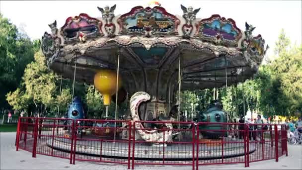 The amusement park carousel. — Stock Video