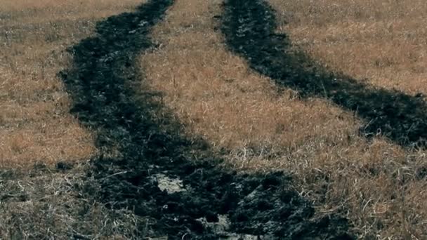 Брудна дорога через сухе трав'яне поле — стокове відео