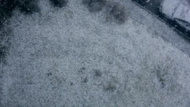 Хлопья снега падают на землю . — стоковое видео
