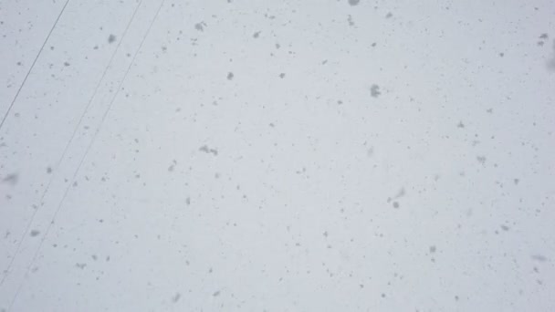 Les gros flocons de neige tombent . — Video