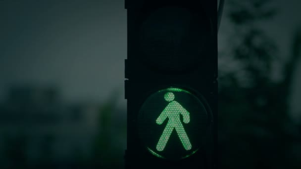 De verkeerslichten in de avond. Groen naar rood. — Stockvideo