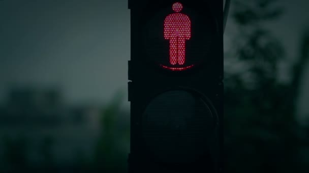 The traffic lights in evening. Red to green. — Stock Video