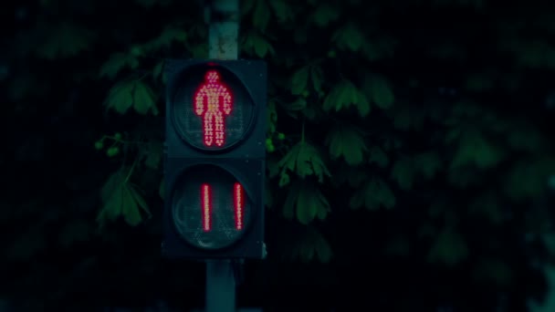De verkeerslichten in de avond. Rood naar groen. — Stockvideo