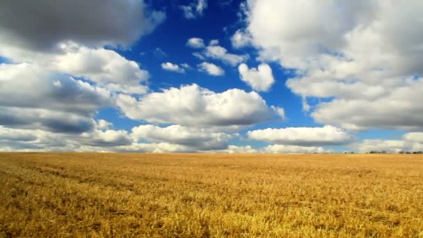 Cielo azul nublado sobre el campo — Vídeos de Stock
